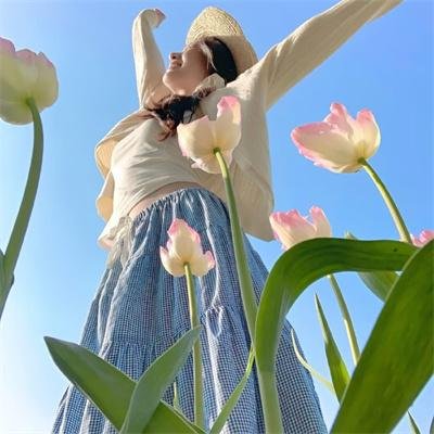 大神与七位伙伴